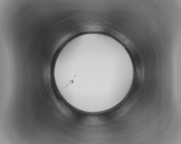 X0000113290534200909281014