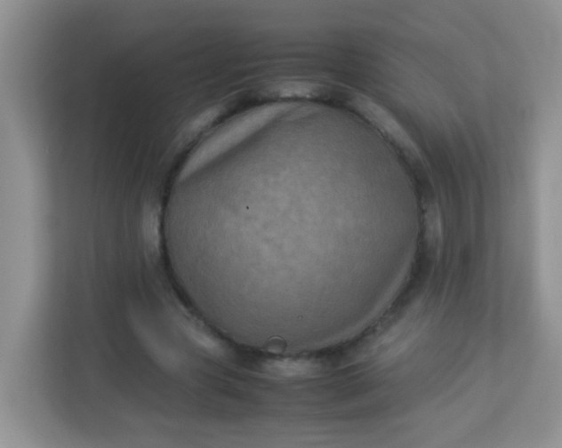 X0000113290537200909281014