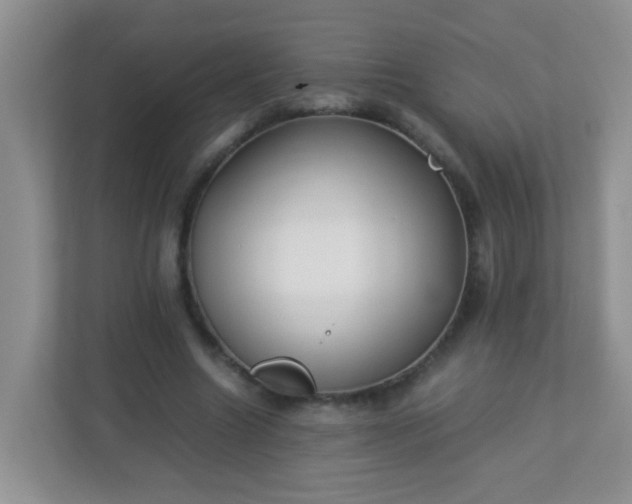 X0000113290538200909281014