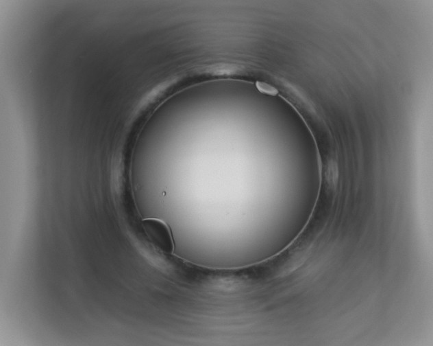 X0000113290540200909281014