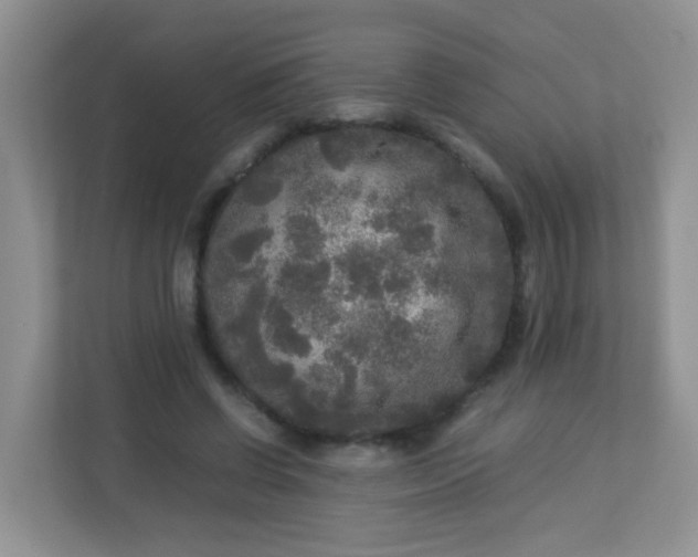 X0000113290542200909281014