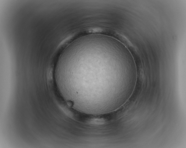 X0000113290543200909281014