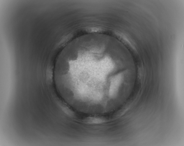 X0000113290545200909281014