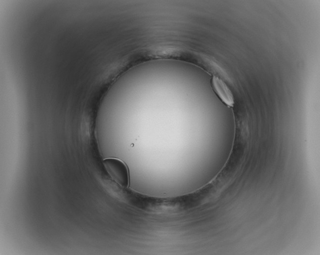 X0000113290546200909281014