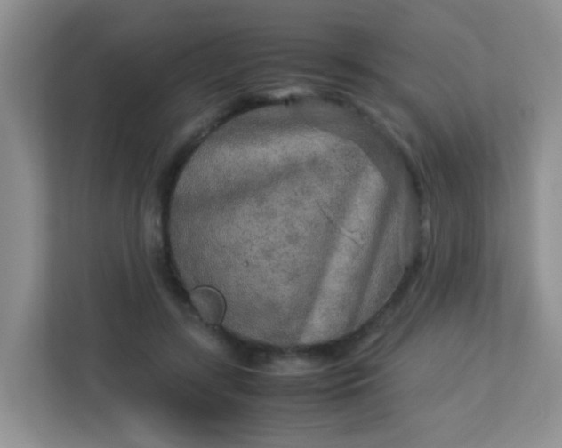 X0000113290547200909281014