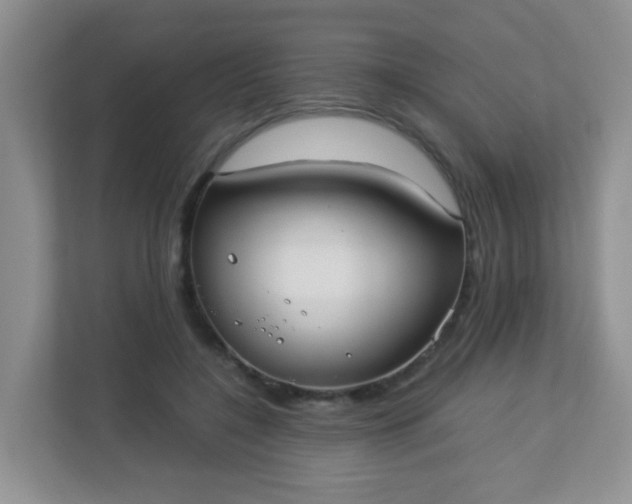 X0000113290548200909281014