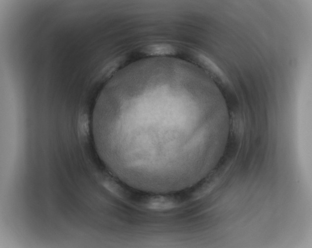 X0000113290549200909281014