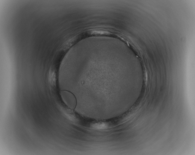 X0000113290551200909281014