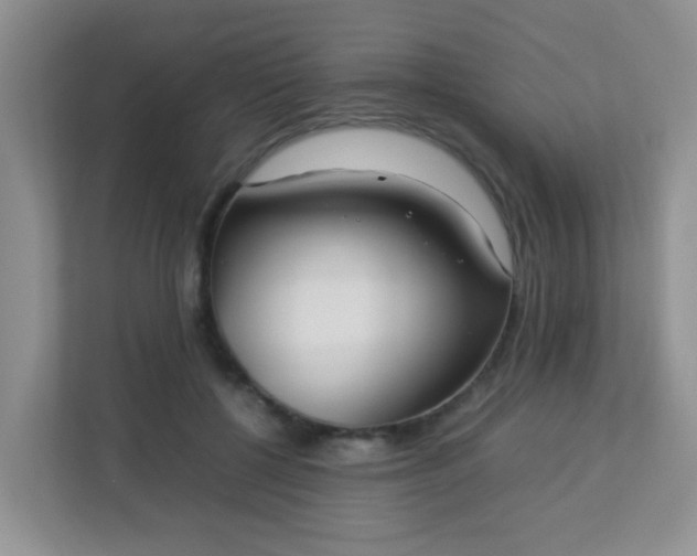 X0000113290552200909281014