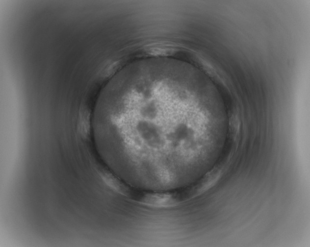 X0000113290554200909281014