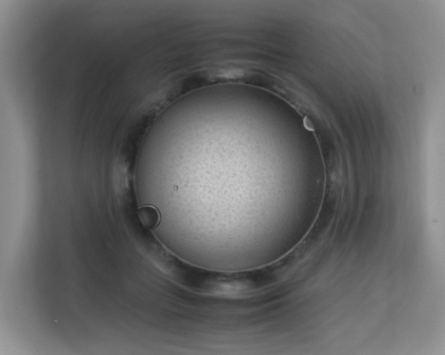 X0000113290555200909281014