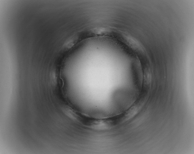 X0000113290558200909281014