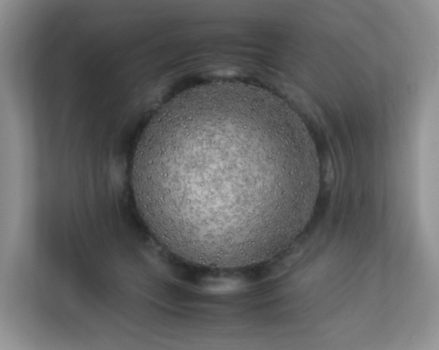 X0000113290559200909281014