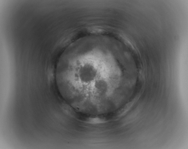 X0000113290561200909281014