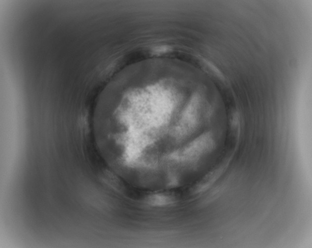 X0000113290565200909281014