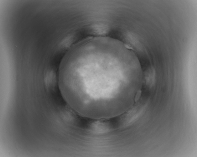 X0000113290568200909281014