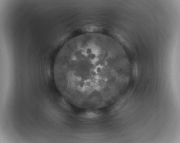 X0000113290569200909281014