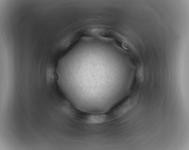 X0000113290571200909281014