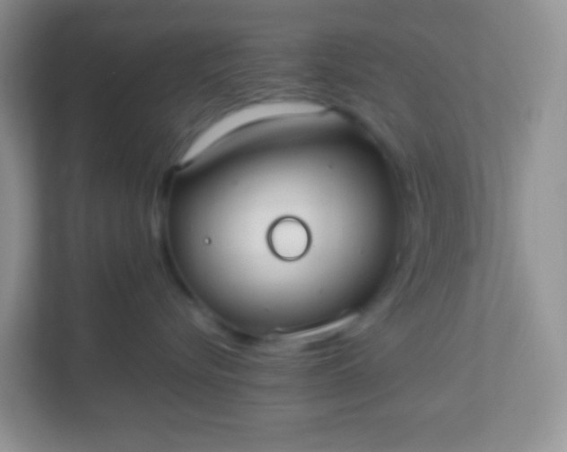 X0000113290576200909281014