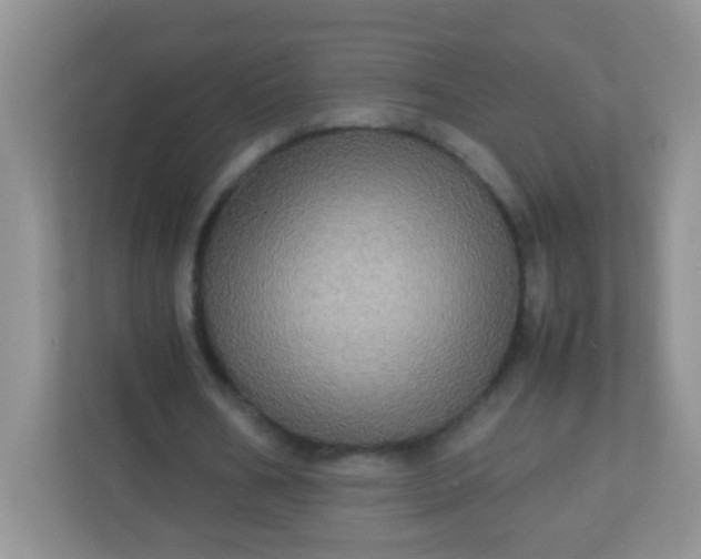 X0000113290578200909281014