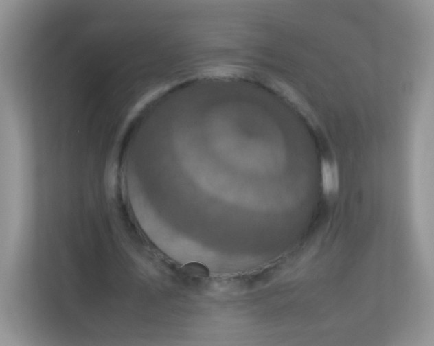 X0000113290579200909281014