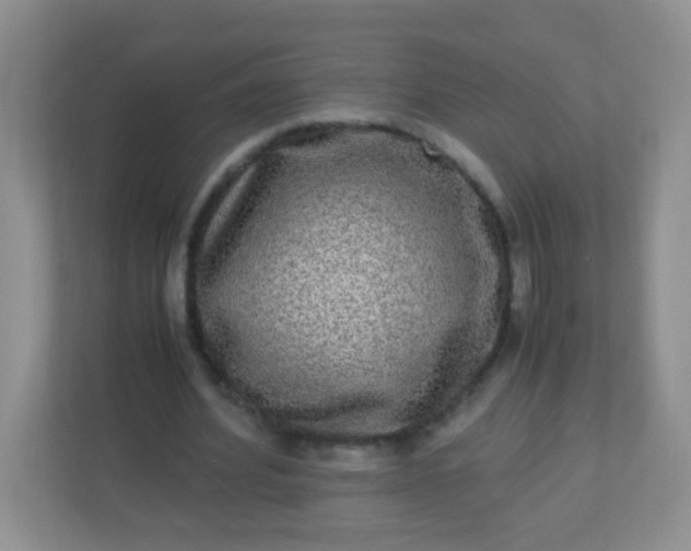 X0000113290580200909281014