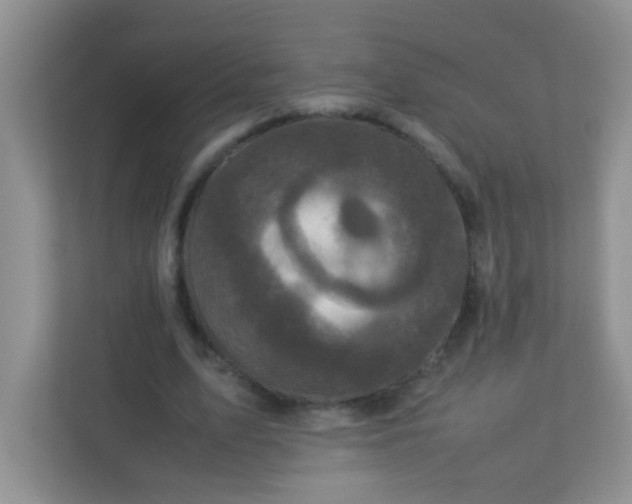 X0000113290583200909281014