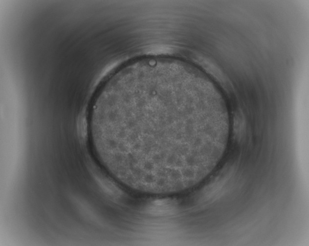 X0000113290584200909281014