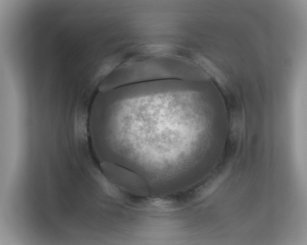 X0000113290585200909281014