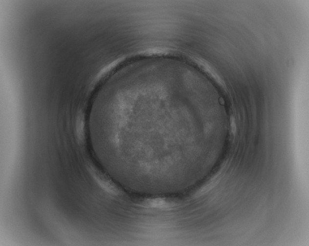 X0000113290588200909281014