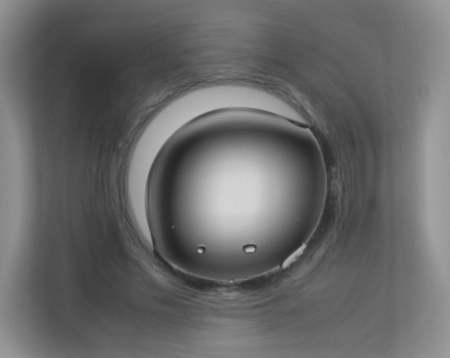 X0000113290589200909281014