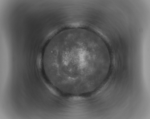 X0000113290590200909281014