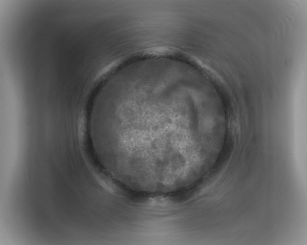 X0000113290591200909281014