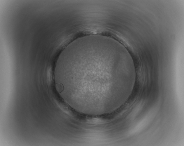 X0000113290594200909281014