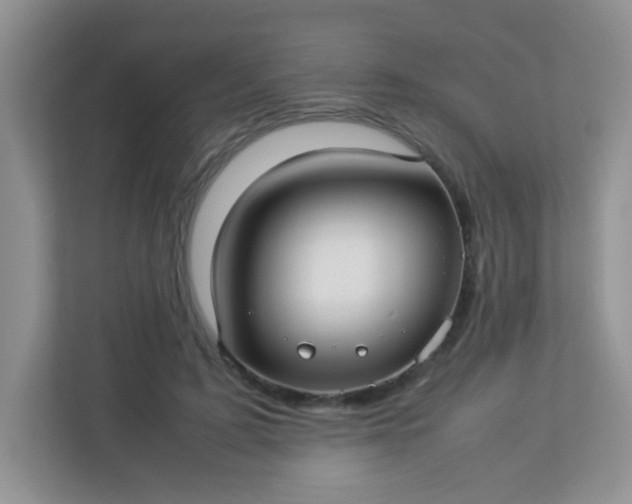 X0000113290595200909281014