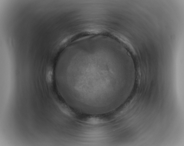 X0000113290596200909281014