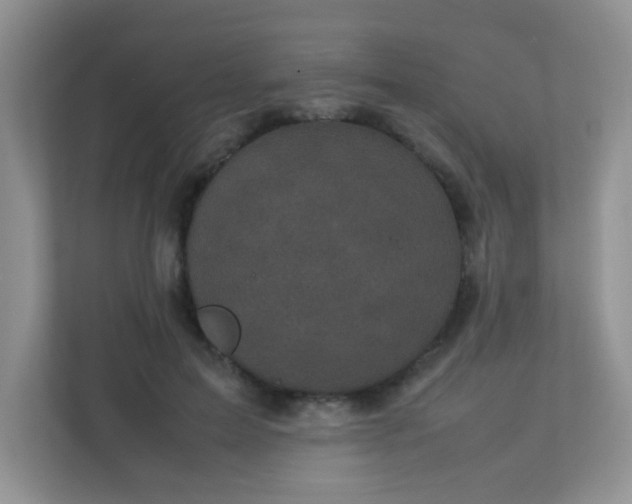 X0000113290599200909281014