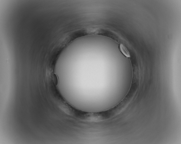 X0000113290601200909281014