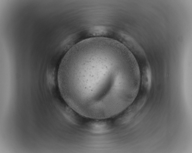 X0000113290604200909281014