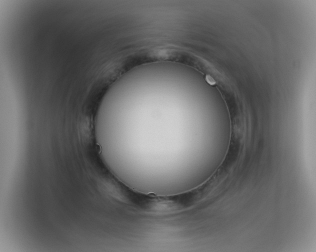 X0000113290605200909281013