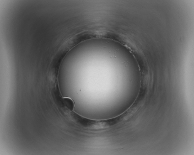 X0000113290609200909281013