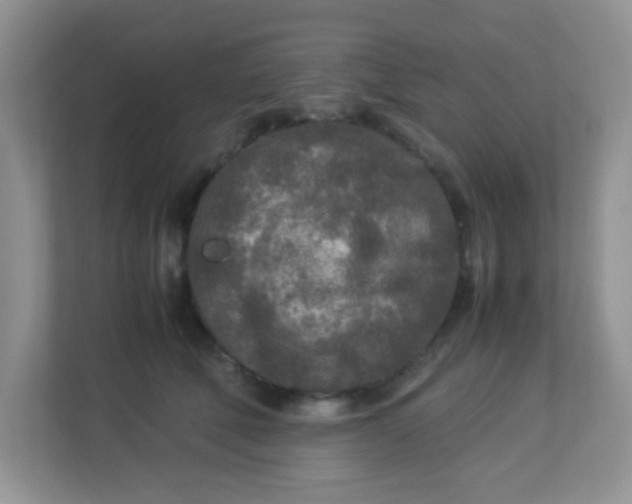 X0000113290610200909281013