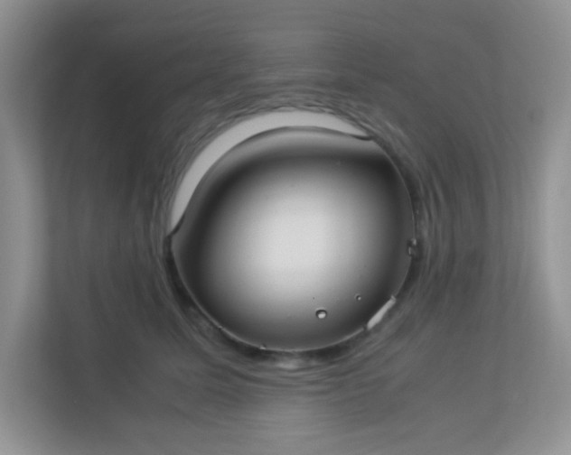 X0000113290611200909281013