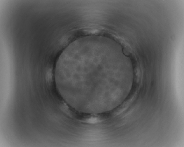 X0000113290612200909281013