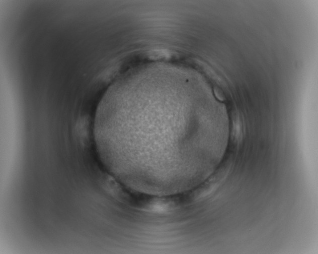 X0000113290616200909281013