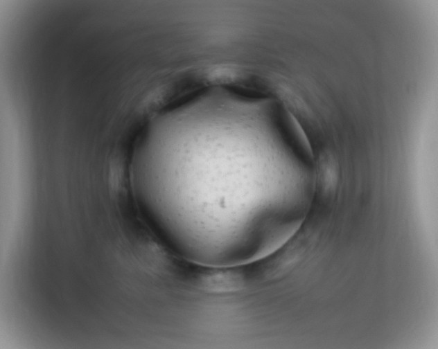 X0000113290619200909281013