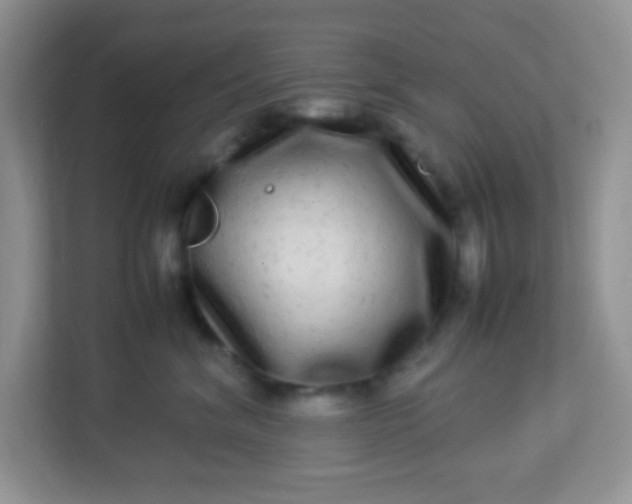 X0000113290620200909281013