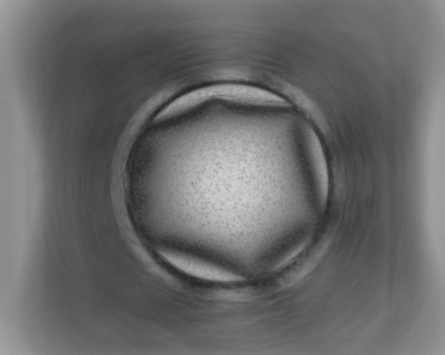 X0000113290625200909281012