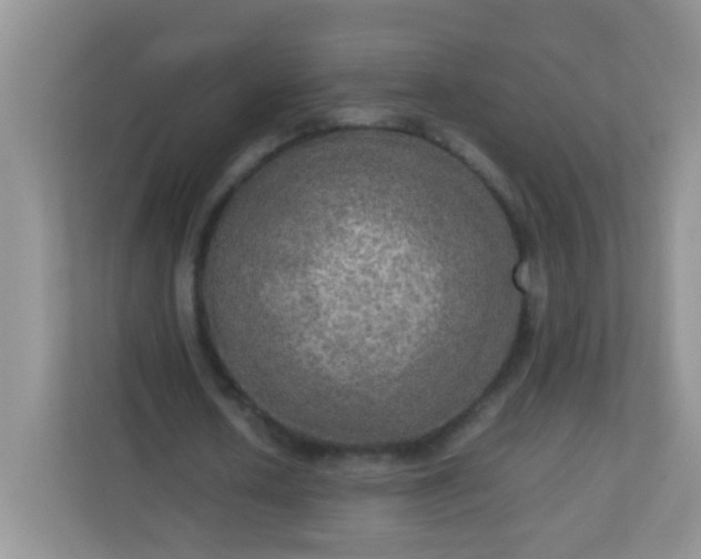 X0000113290626200909281012