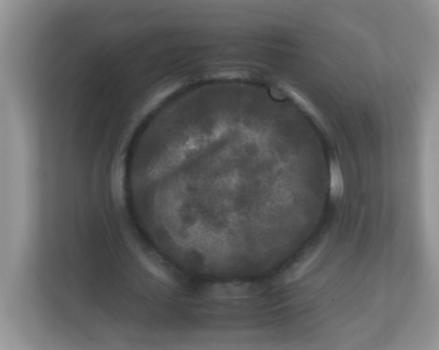 X0000113290627200909281012